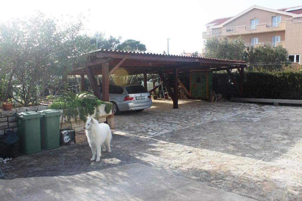 Summer House In Novalja Dış mekan fotoğraf